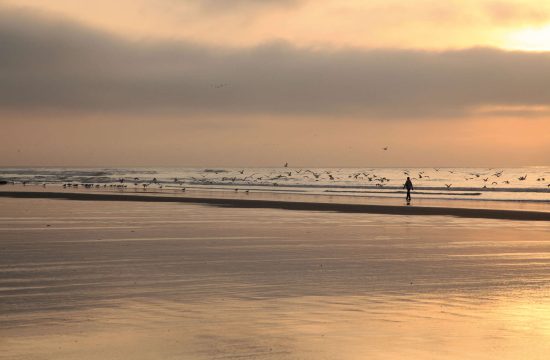 BaladeBaied'authie-001